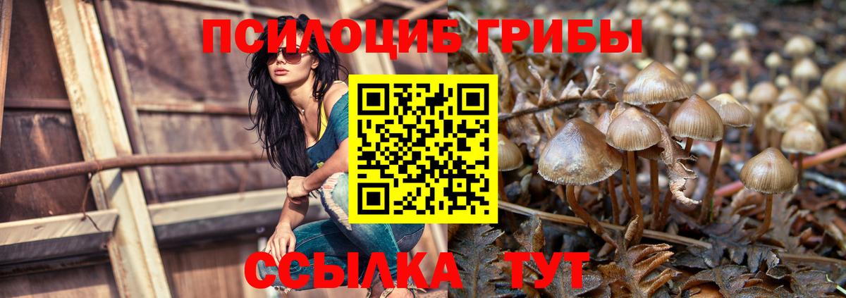 закладка  Галлюциногенные грибы MAGIC MUSHROOMS  Вход с VPN  Кизилюрт  Псилоцибиновые грибы мухоморы 